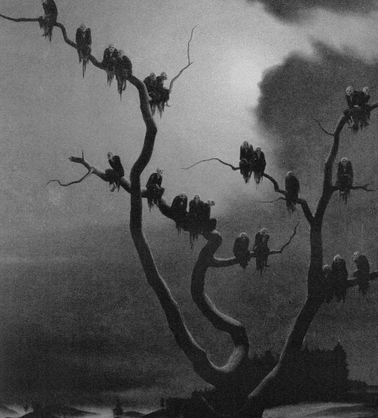 The Garden of Crows